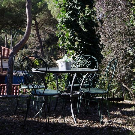 Apartment Vacarisses Torreblanca Estacion, Piscina Privada Εξωτερικό φωτογραφία
